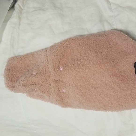 Dog - Picture 6 of 13